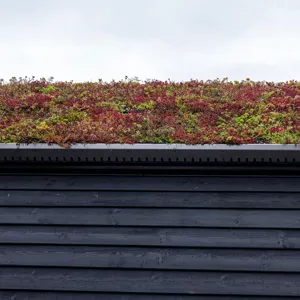 Annebergs Limtræ Natursuiter Hytter Tag Detalje